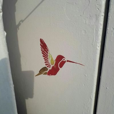 supsa's profile picture. 