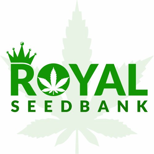 Over 600 #marijuana strains available from the 10 most trusted seed bank suppliers. Worldwide shipping Available #Cannabis #SeedBank