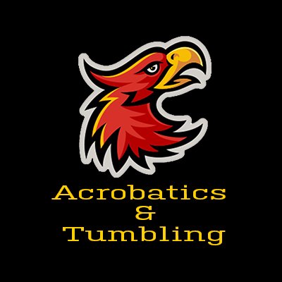 Official Page of the ACU Firestorm Acrobatics & Tumbling Team 🦅🔥