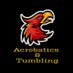 Firestorm Acro Tumb (@acu_acrotumb) Twitter profile photo Firestorm Acro Tumb (@acu_acrotumb) Twitter profile photo