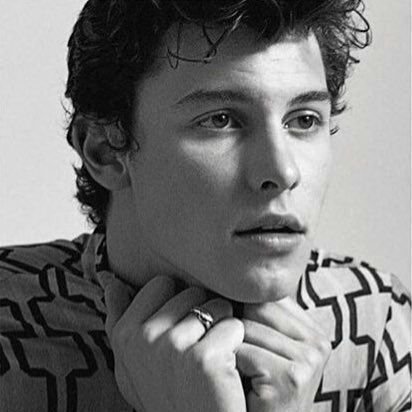 Mendes Army BR (@ShawnMendesMrs) | Twitter