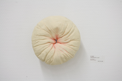 itoaya_zerachin's profile picture. 伊藤彩初の作品集制作プロジェクト！ クラウドファウンディング成功しました！https://t.co/03DstS3Iym