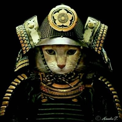 guyueyuhuai's profile picture. うりぼう大学