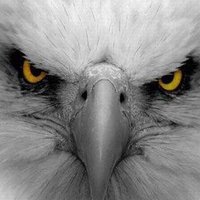 😎��BacK5TracK ��😎 (@back5track) Twitter profile photo