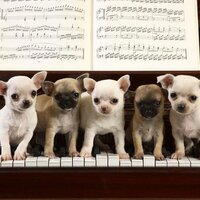 Noteworthy Health (@musicwithmarne) 's Twitter Profile