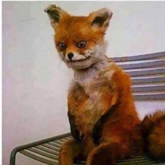 karlou50100's profile picture. CSGO SKINS IS MY LIFE