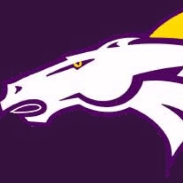 phsbestrobotics's profile picture. We design, engineer, and build