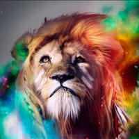 Micah (@_dandymike) 's Twitter Profile