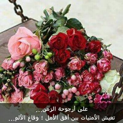 ‏‏0566639528واتس