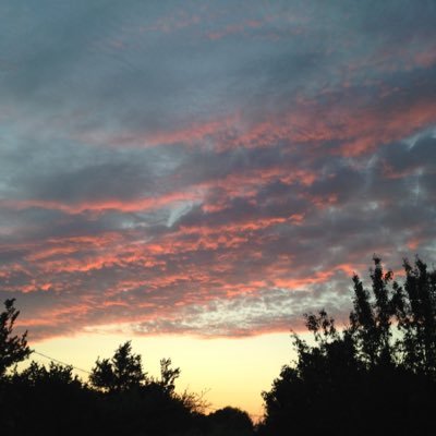 19701967me's profile picture. Reluctantly enthusiastic