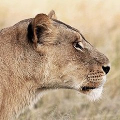 Agrarjournalistin, leidenschaftlich unterwegs für Landwirte aus Leidenschaft. Hier privat. #agrarheute