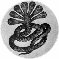 DEATH to the FASCIST insect that preys upon the life of the people