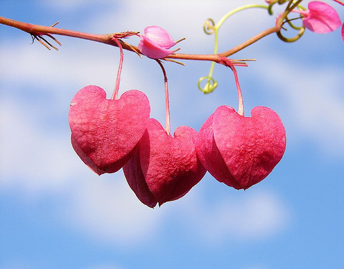 Post your daily acts of kindness and good deeds to inspire others. Just one good deed can make someone's day.
Together we can change the world!