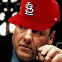 cardinalsgifs(@cardinalsgifs) 's Twitter Profile Photo