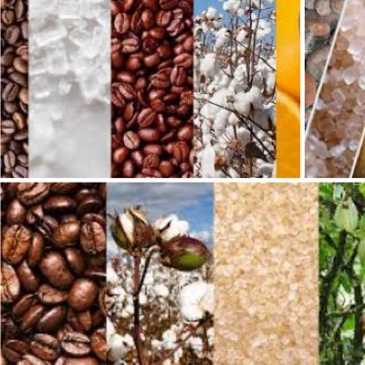 Follow us if you trade sugar coffee juice cocoa or cotton fcoj fcaj #commodities #trading #markets #riskmanagement #DF #KC #QC #CC #JO #AJC #CT #SB #QW #ICE