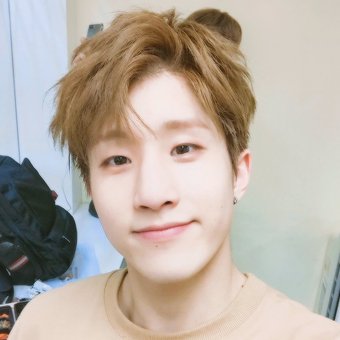 『96 ˡᶤᶰᵉ』αиιмαℓѕ αяє ℓιfє, мυѕις ιѕ тнє ѕσυℓ.
