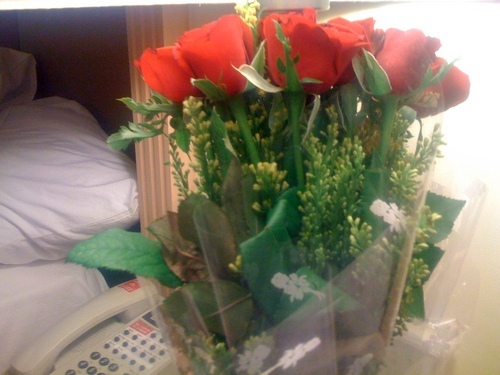 vvsmurari's profile picture. Indian Classical Musician