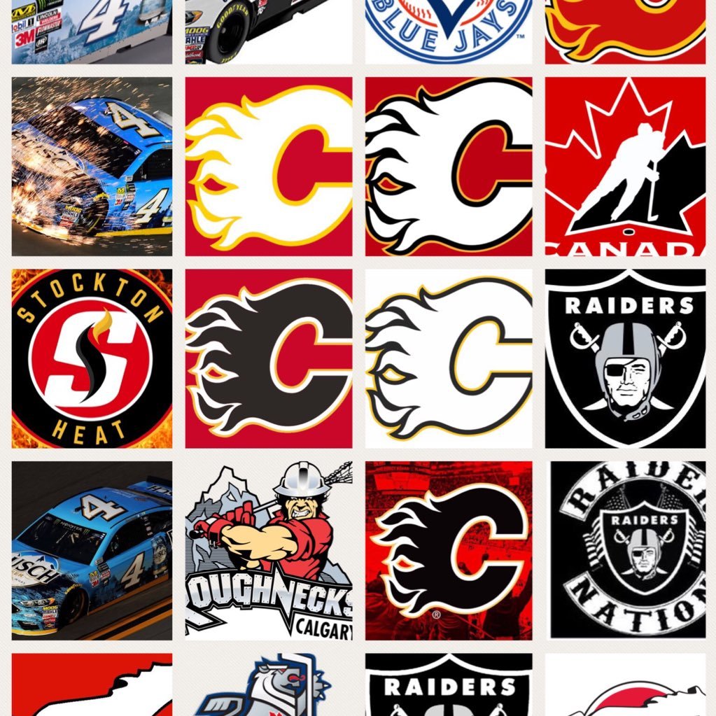 Calgary Flames Kevin Harvick #4 Oakland Raiders Toronto Blue Jays Victoria Royals Calgary Stampeders Calgary Roughnecks New Castle United Team Canada .