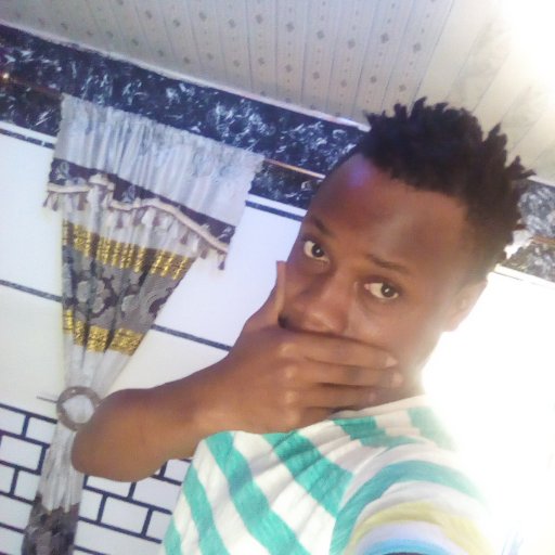 donkmultimedia's profile picture. 