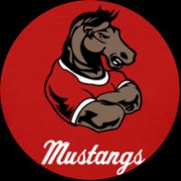 Stang Mob Official (@officialstang) 's Twitter Profile Photo Stang Mob Official (@officialstang) 's Twitter Profile Photo