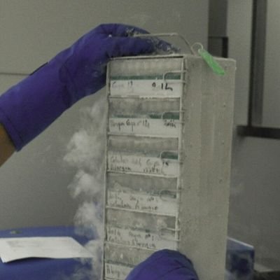 BiobancoMalaga's profile picture. Biobanco de los hospitales Regional de Málaga, Virgen de la Victoria y Costa del Sol.