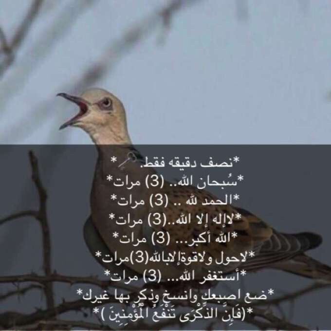 mtba9748's profile picture. اللهم اجعل هذا الحساب صدقه عني وعن اهلي