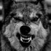 Fenrir (@Fenris__ulfr) Twitter profile photo