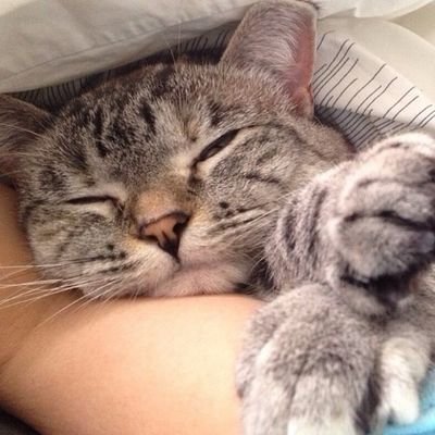 shairashinigami's profile picture. Без труда́ не вы́тащишь и ры́бку из пруда́.