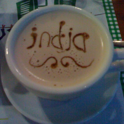 chocdiscoveries's profile picture. research on chocolate