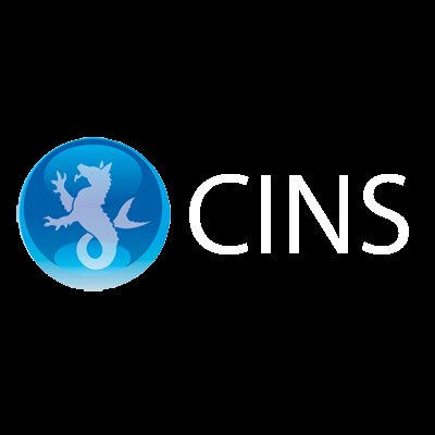 Launched in Sept 2011 CINS is a Shipping Line initiative set up to increase supply line safety, reduce on-board cargo incidents and highlight cargo risks