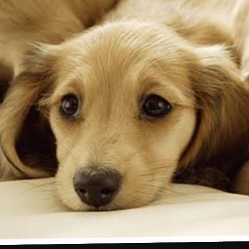 SYbzmmpqEndcI4y's profile picture. 