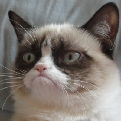 analua97's profile picture. ☞ A gente é fraco. Cai no buraco. O buraco é fundo. Acabou-se o mundo. ☜