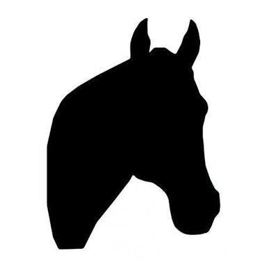 Racing industry insider bringing info to the public. Follow to know when a horse is wound up to win!