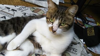 剣鉄さんのプロフィール画像