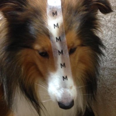 LRayCherry's profile picture.