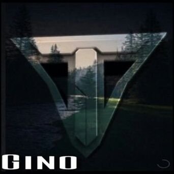 I'm the leader of a gaming team called Tora and I'm looking for people to recruit to the team so DM me and ask to join the team if u want to be in the team