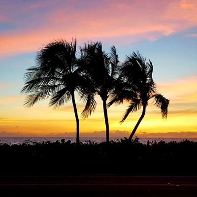Island Dreamer At Luvcaptiva Twitter - 