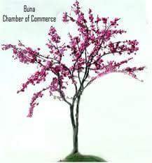 BunaChamberofC's profile picture. We are a local organization of businesses whose goal is to further the interests of businesses.