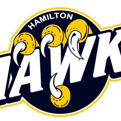 The Hamilton Hawks Girls Hockey Association located in Hamilton, Ontario, started in 1992 has Rep and House League programs for girls 4 years of age - Adult