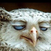Positive Energy (@energy77777777) 's Twitter Profile