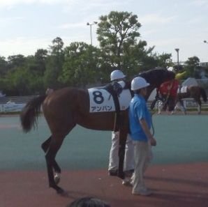 競馬力向上中。オートは当たったり当たらなかったり。競艇・競輪は無理。
苦手な人間が上司になったもんで転職しようか悩み中。
麻雀・パチンコ・パチスロもします。
送球やってました。
今の目標はハイエースを買う事。