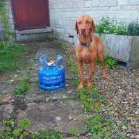 Calor Gas (@bamptongas) Twitter profile photo