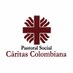 Cáritas Colombiana (@pastoralsocialc) Twitter profile photo