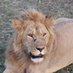 Phil_Travel (@philtravel1) Twitter profile photo Phil_Travel (@philtravel1) Twitter profile photo