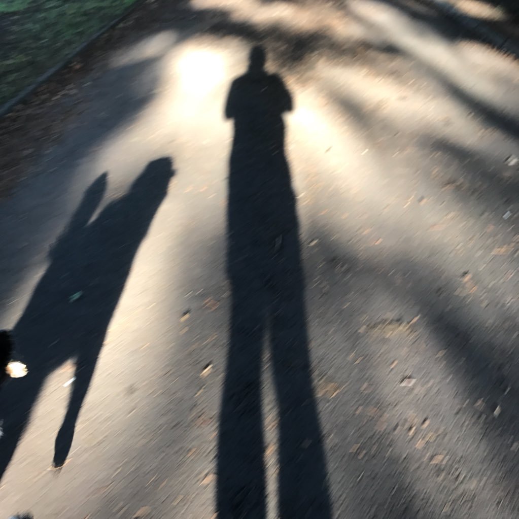 dylanismydog's profile picture. 🏴󠁧󠁢󠁷󠁬󠁳󠁿 Welshman living in Dorset