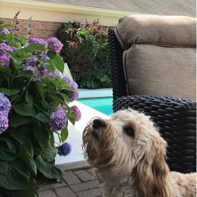 pfsatty's profile picture. Retired Ky Judge. semi-retired attorney. Concerned citizen, mother & grandmother.  Baffled by current events.