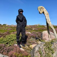 Johannes Wellman 🇫🇮 (@johanneswellman) 's Twitter Profile