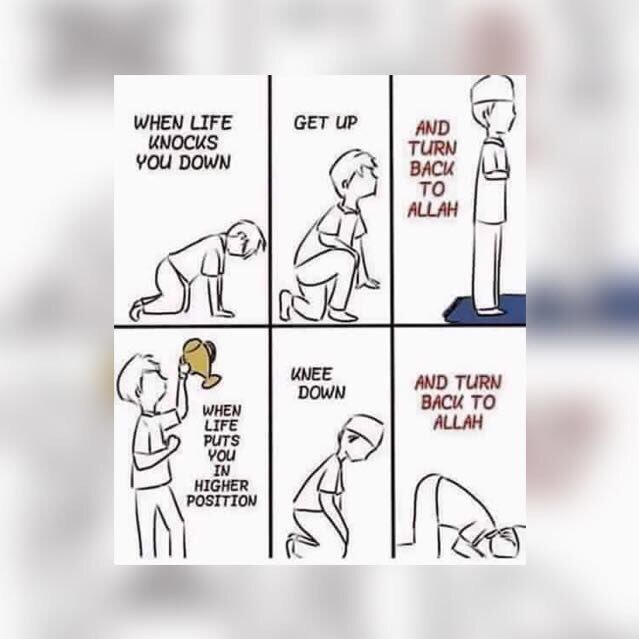 SaeedAslam17's profile picture. 