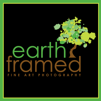 earthframedca's profile picture. Tricia McLellan is a landscape & nature photographer - passionate about photography, nature, the environment, education, the arts, travelling & technology!