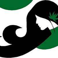 Tresses Hair Salon (@tresseshd) 's Twitter Profile